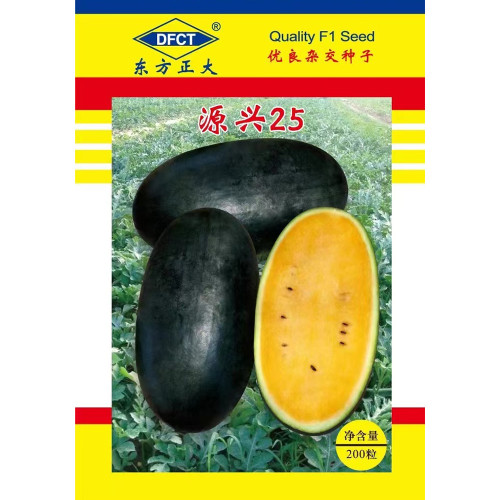 1 Bag (200 Seeds) of 'Yuanxing 25' Series Black Skin Yellow Flesh Watermelon Seeds
