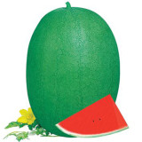 5 Bags (50 Seeds / Bag) 'Green Emperor' Watermelon Seeds