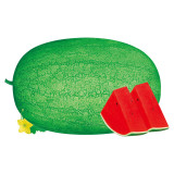 5 Bags (50 Seeds / Bag) 'Green Emperor' Watermelon Seeds