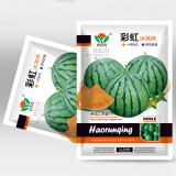 5 Bags (20 Seeds / Bag) 'Rainbow Ice Cream' Series Watermelon Seeds