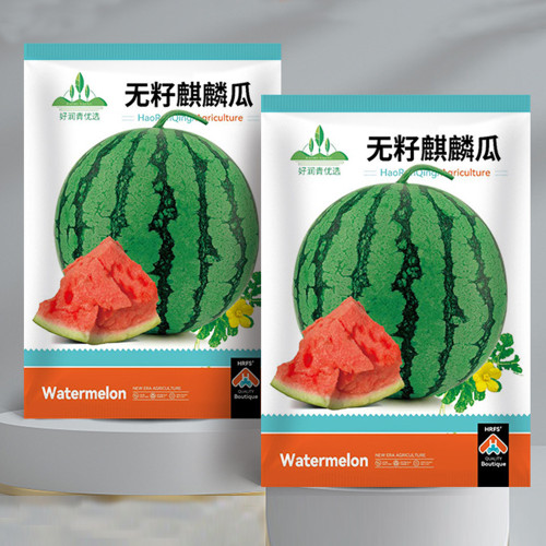5 Bags (50 Seeds / Bag) of 'Seedless Kylin' Series Seedless Watermelon Seeds