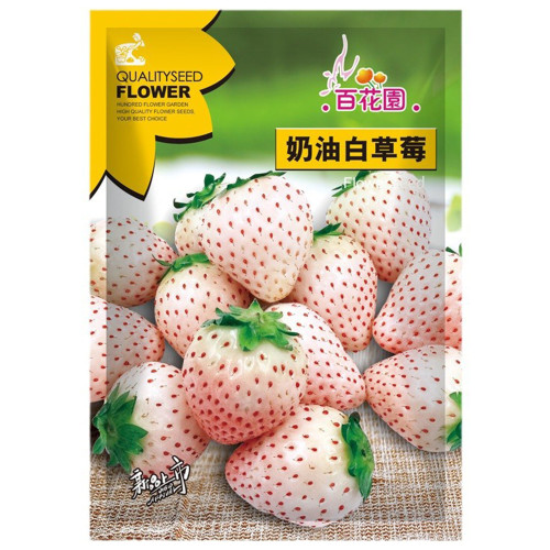 5 Bags of 'Littile White' Series Small White Strawberry