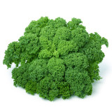 5 Bags (100 Seeds / Bag) of 'Blue Ridge' Kale