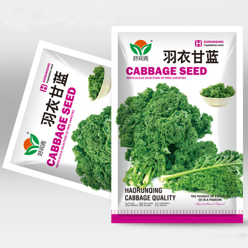 5 Bags (100 Seeds / Bag) of 'Blue Ridge' Kale