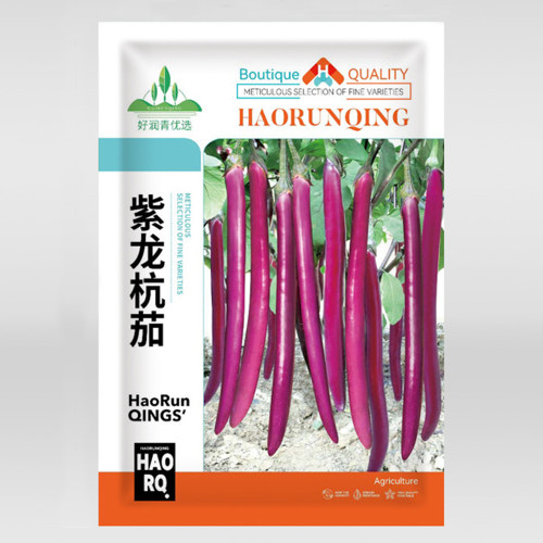 5 Bags (100 Seeds / Bag) of 'Hang Zilong' Series Purple Eggplants