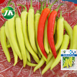 5 Bags (100 Seeds / Bag) of 'Golden Sword' Peppers