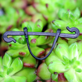 Plant Holder Clips: Fix and Support Your Vines with Ease