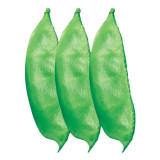 Greenery Galore: 5 Bags (10 Seeds / Bag) of Hyacinth Bean for a Flourishing Garden