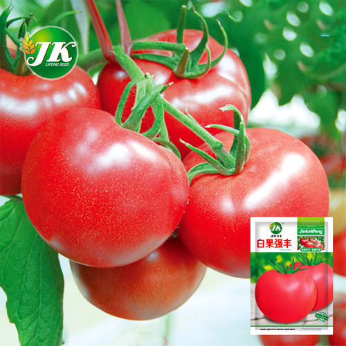 Rediscover Tradition: 5 Bags (200 Seeds / Bag) of 'Vintage Elegance' Red-Pink Tomatoes