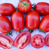 Jam Selection: 5 Bags (200 Seeds / Bag) of Top-Performing Salad Tomatoes