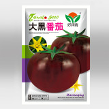 Cultivate Curiosity: 5 Bags (100 Seeds / Bag) of 'Daheiren' Black Tomatoes