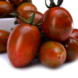 Garden Marvel: 5 Bags (100 Seeds / Bag) of 'Strawberry' Tomatoes
