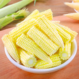 Elevate Your Crop with 50 F1 Sweet Baby Corn Seeds
