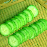 Compact and Tasty: No-Stake Mini Cucumber Varieties