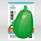 Xi'an Green Allure: Unveiling the Green Eggplant Seeds