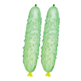 Crisp White Cucumber with Spiky Vines