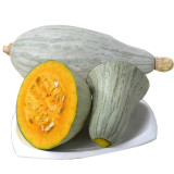Noble Pumpkin Hybrid Seeds