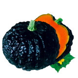 Japanese Black Pumpkin Seeds