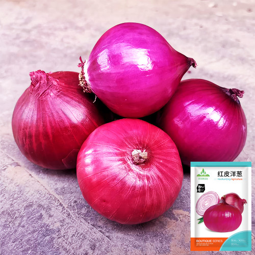 Premium Red Onion Seeds - Purple Skin Variety