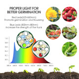 Warm Light Brilliance: 48-Cell Seed Starter Propagation Tray with 4 Beads LED