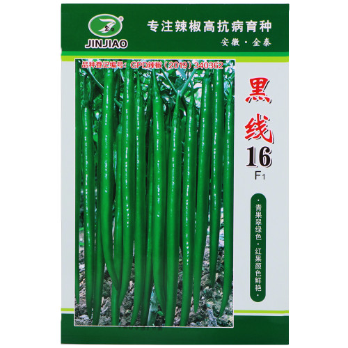 Jinjiao® Black-line-16 Chili Pepper F1 Seeds