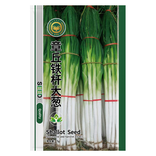 Jingyan® Asian Bunching Onion Seeds