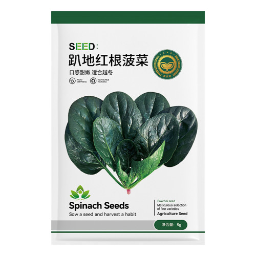 Jingyan® Prostrate Red Rooted Spinach Seeds