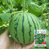 Fresh Harvest Seeds Bundle: Vegetable, Fruit, Melon, and Tomato Combo #001