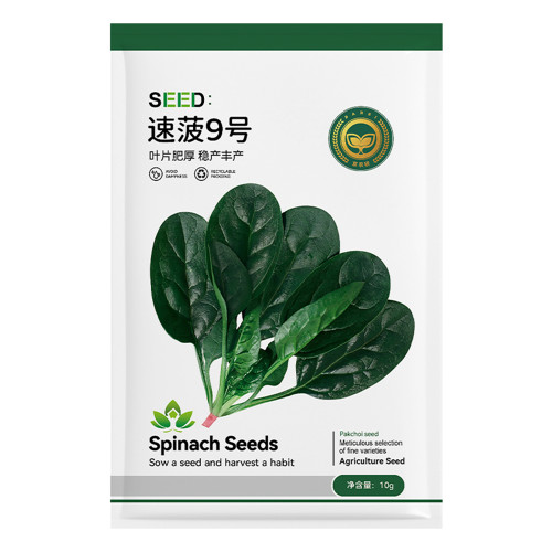 Jingyan® Swift No.9 Spinach Seeds