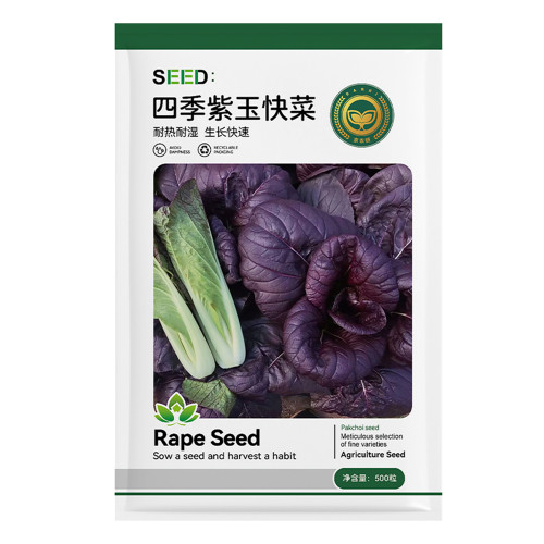 Jingyan® Purple Pak Choi Rape Seeds