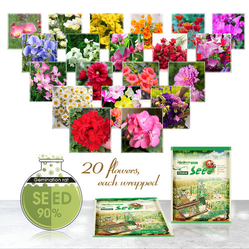 Heirloom Seeds of 20 Flowers Assortment in Distinctive Packaging Combo #002