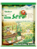 Bellfarm® Bi-color Mid Dual Daisy Seeds
