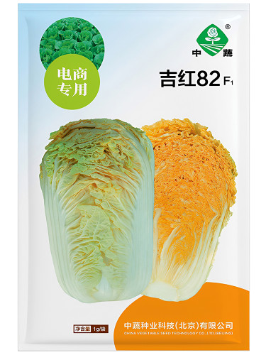 Zhongshu® Julie Red No.82 Cabbage F1 Seeds