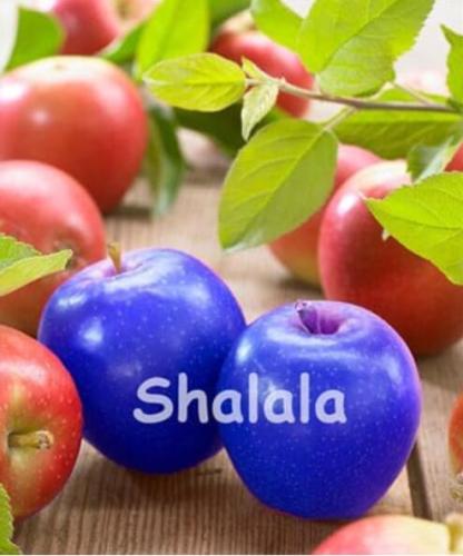 Rare Apple Seeds