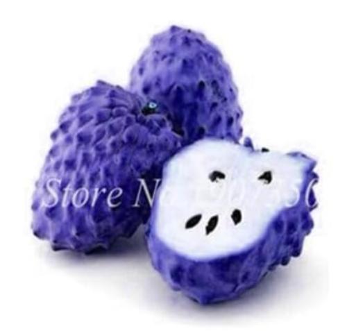 Graviola Annona Muricata Exotic Seeds
