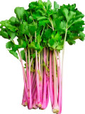 Pink Celery Seeds