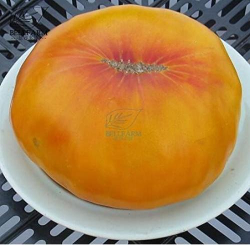 Hawaiian Pineapple Big Orange Red Tomato Seeds