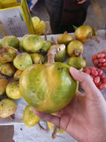 Annona Reticulata Seeds