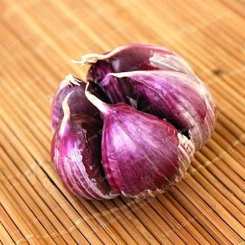 Multi-petals Garlic Seeds Organic Red Bulb Seeds
