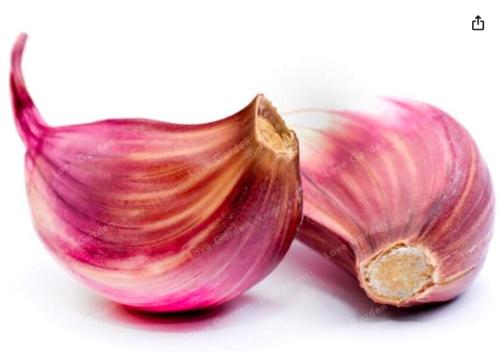 Multi-petals Garlic Seeds Organic Seed Red Healthy Vegetables