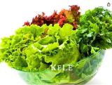 Organic Spring Lettuce Vegetable Seeds