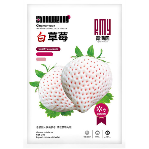 Cream White Strawberry Seeds – Year-Round Container Variety for Indoor & Outdoor Growing