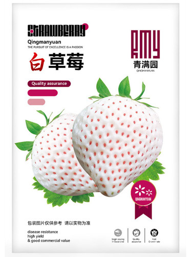 Cream White Strawberry Seeds – Year-Round Container Variety for Indoor & Outdoor Growing