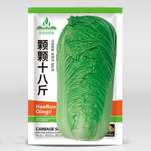 'Shi Bajin' Chinese Cabbage Seeds - Ideal for Summer and Fall Vegetables | High-Yield Quality Cabbage Seeds