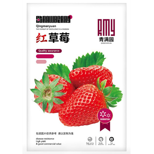 Cream Red Strawberry Seeds – Sweet and Tangy Variety for Home Gardens