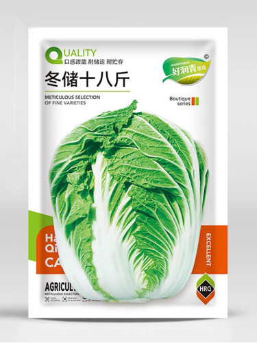 'Dongchu 18 Jin' Autumn Chinese Cabbage Seeds, Winter Storage Sauerkraut Cabbage, Hearted Cabbage