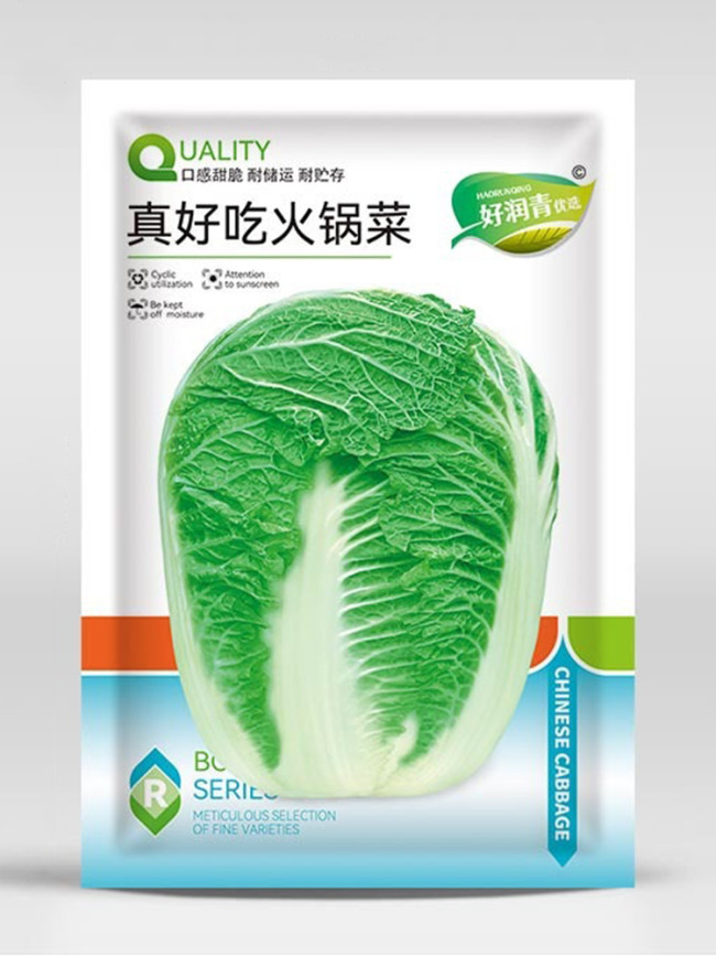 Premium Winter Cabbage Seeds - 85-Day Growth, Disease-Resistant, Short Cylindrical Leaf Balls, Ideal for Hotpot & Storage