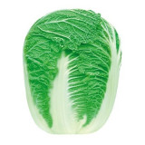 Premium Winter Cabbage Seeds - 85-Day Growth, Disease-Resistant, Short Cylindrical Leaf Balls, Ideal for Hotpot & Storage