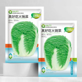 Premium Winter Cabbage Seeds - 85-Day Growth, Disease-Resistant, Short Cylindrical Leaf Balls, Ideal for Hotpot & Storage