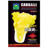 'Golden Egg Yolk' Chinese Cabbage Seeds | Early Maturing, Cold-Resistant, Yellow-Hearted Variety for Fall Planting